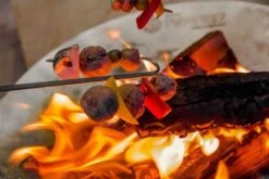 Petromax Campfire Skewer Gebogen (2 Stuks) -Petromax Winkel image 325